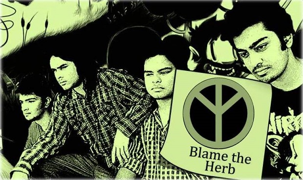 Blame The Herb