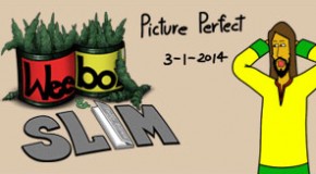Weebo & Slim – Picture Perfect