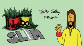 Weebo & Slim – Traffic Safety